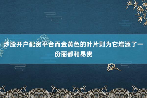炒股开户配资平台而金黄色的叶片则为它增添了一份丽都和昂贵