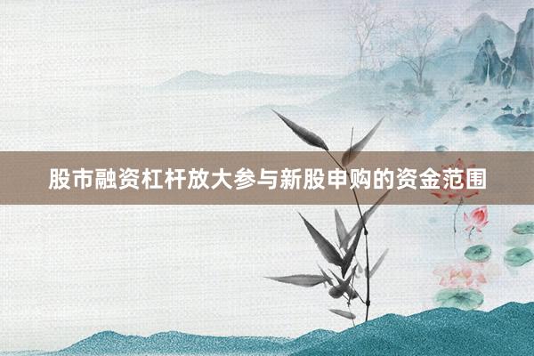 股市融资杠杆放大参与新股申购的资金范围