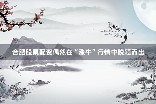 合肥股票配资偶然在“涨牛”行情中脱颖而出
