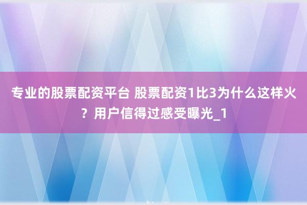 专业的股票配资平台 股票配资1比3为什么这样火?用户信得过感受曝光_1