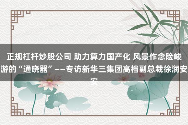 正规杠杆炒股公司 助力算力国产化 风景作念险峻游的“通晓器”——专访新华三集团高档副总裁徐润安
