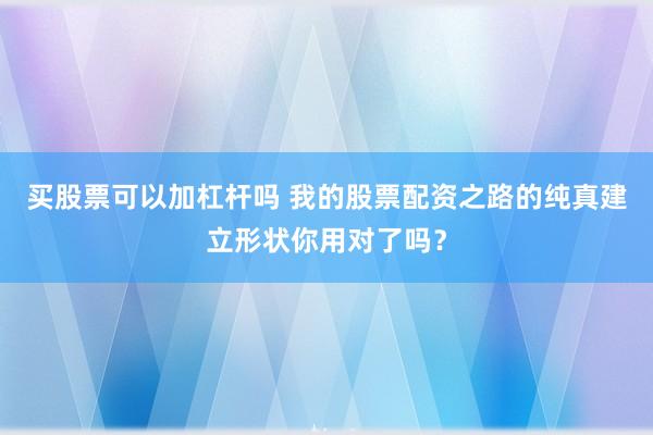 买股票可以加杠杆吗 我的股票配资之路的纯真建立形状你用对了吗?